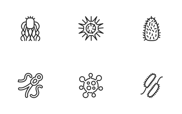 viruses viruses