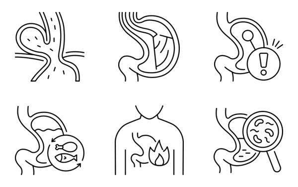 stomach stomach