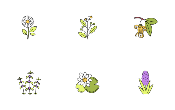 Flowers Flowers