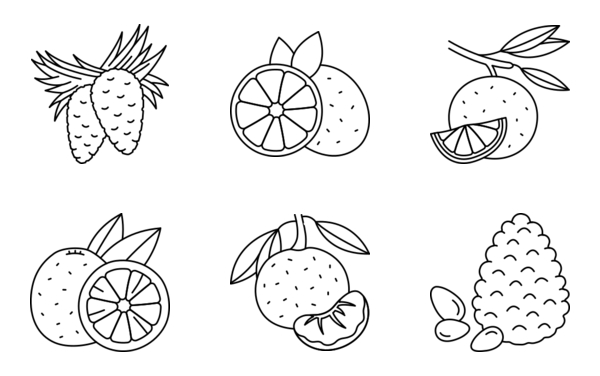 oils and fruits and seeds oils and fruits and seeds