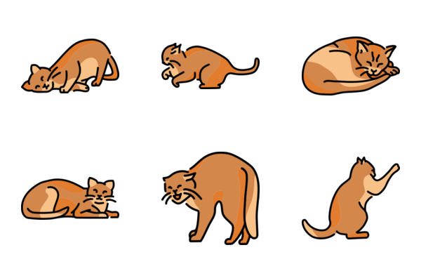 Cats in different poses