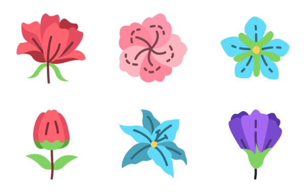 flowers flowers