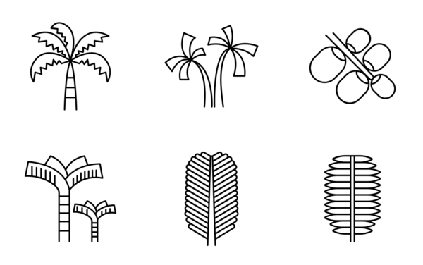 palm tree palm tree