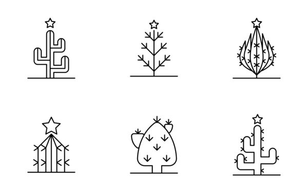 christmas cactus christmas cactus