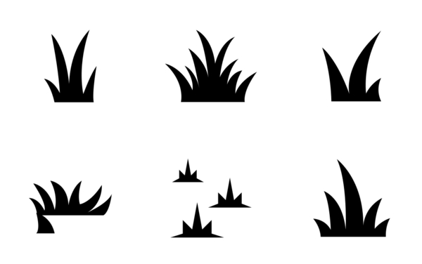 grass