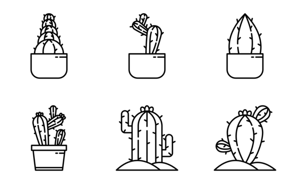 Cacti