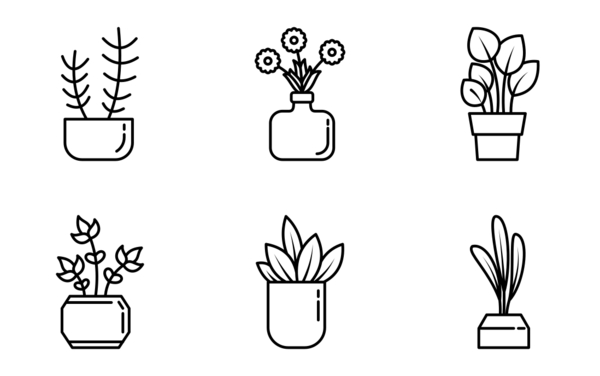 houseplants houseplants