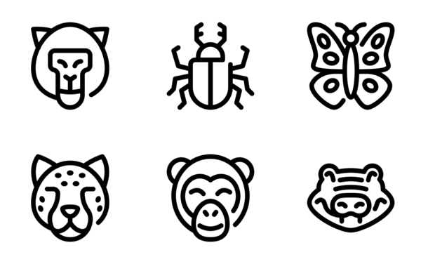 jungle animal jungle animal