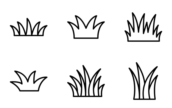 grass grass