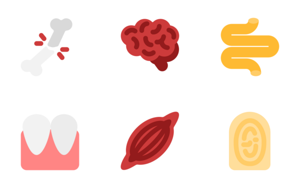 human anatomy flat edition human anatomy flat edition