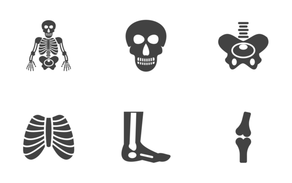 human anatomy glyph human anatomy glyph