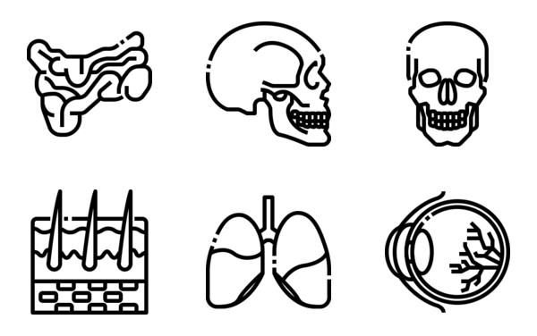 human body  organ