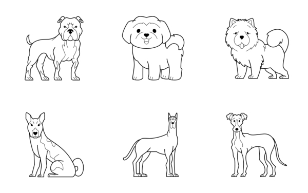 Dog breeds Dog breeds