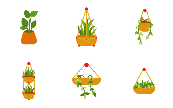 indoor plants indoor plants