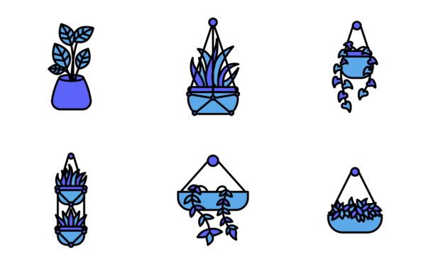 indoor plants indoor plants