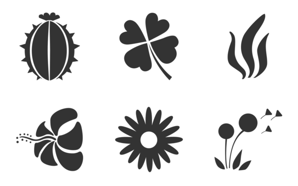 flowers flowers