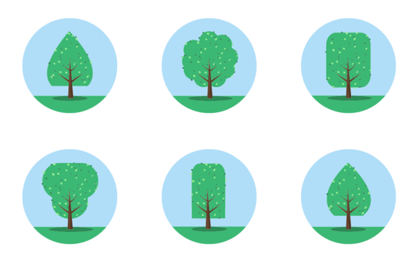 trees in the morning  circle