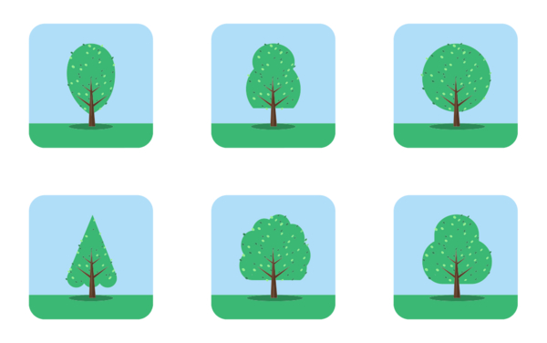 Trees in the morning