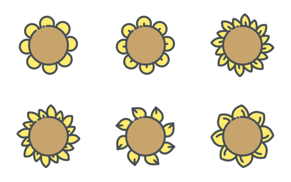 sunny flowers for rainy days sunny flowers for rainy days