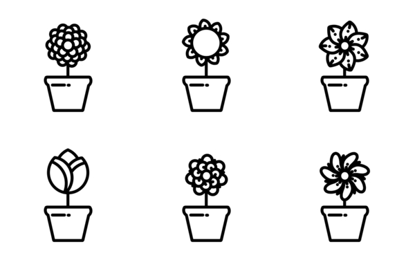 flowers in pots