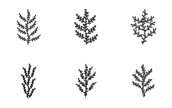 hand drawn leaf ornaments v2