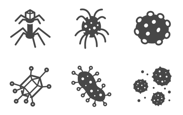 bacteria and virus