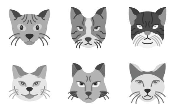 cat breeds cat breeds