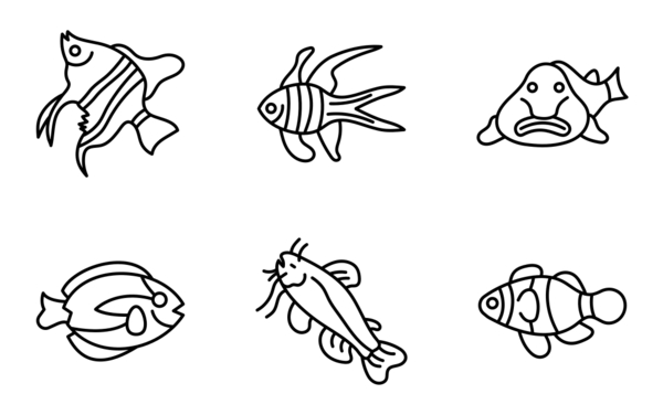 fish