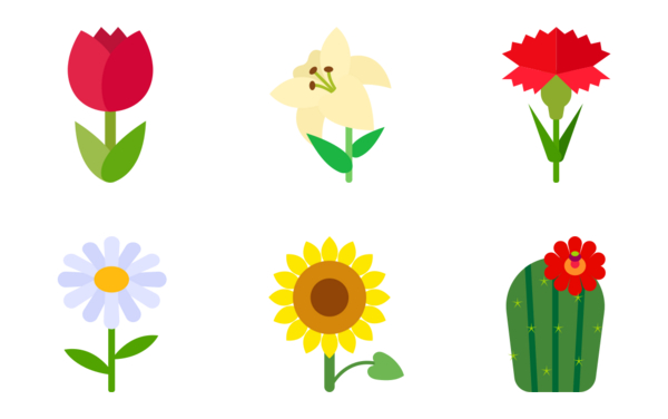 flowers flowers