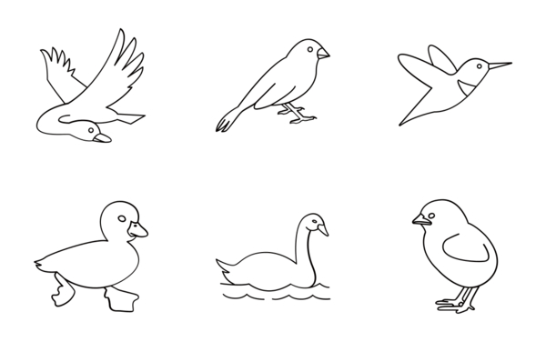 birds outlines