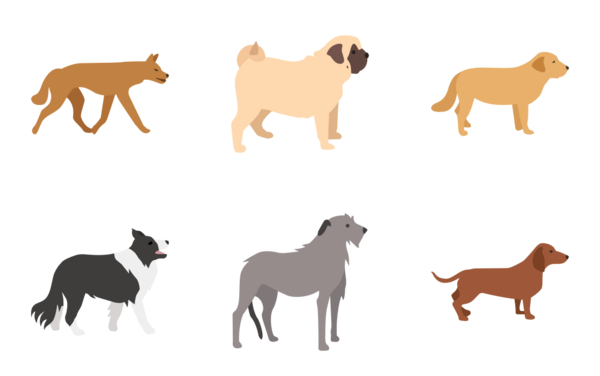 dogs color dogs color
