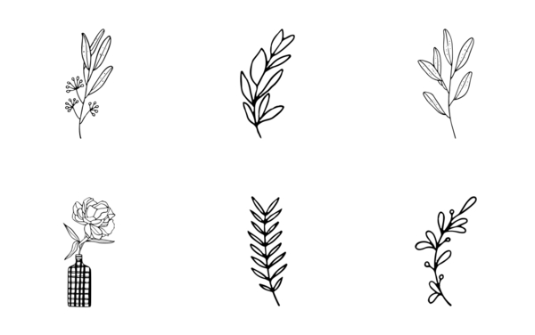 organic leaf illustration