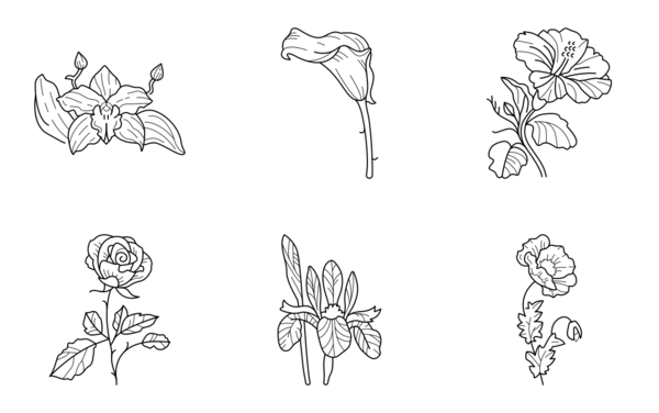 Botanical Botanical