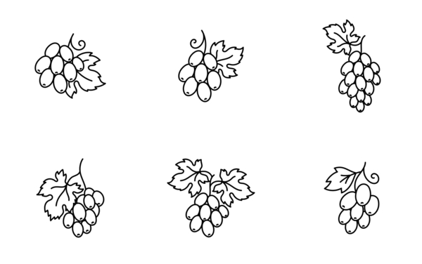 grapes vine