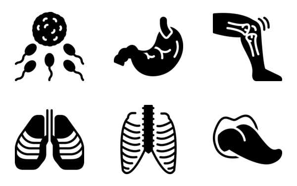 human anatomy 2 solid