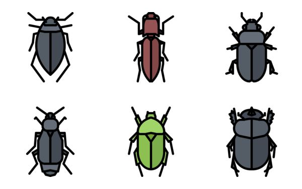 beetle beetle