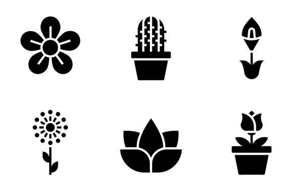 flower flower