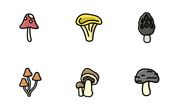 mushrooms and toadstools