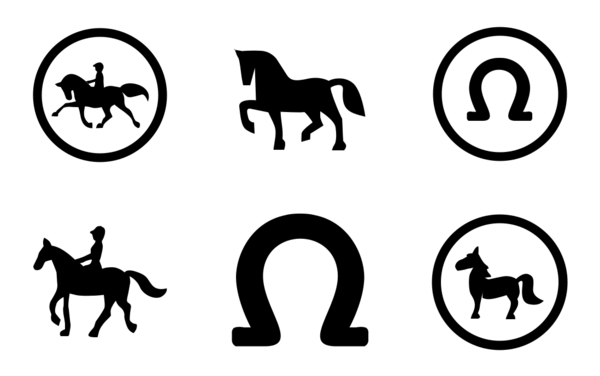 Horse and riding Horse and riding