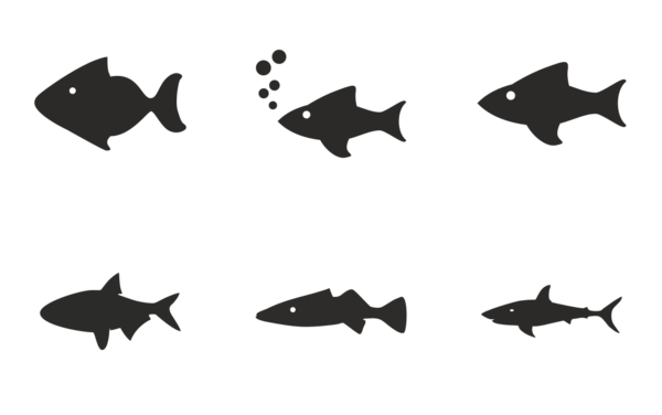 all types of fishes