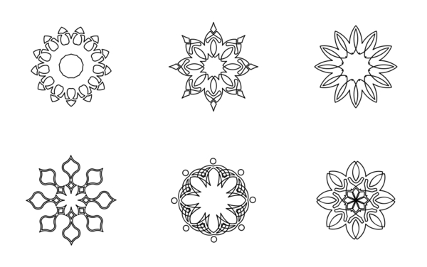 flower and decoration flower and decoration