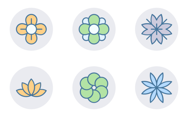 flowers flowers