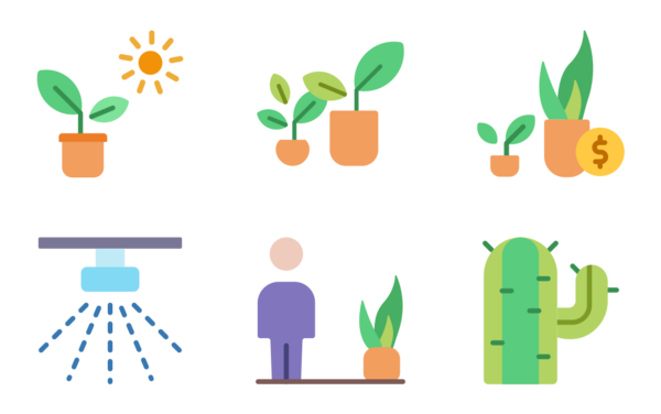 plant plant
