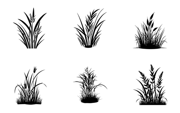 set of grass