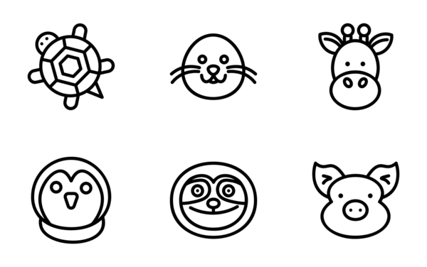 animals animals