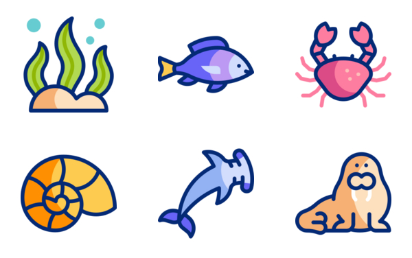 Marine Wildlife Marine Wildlife