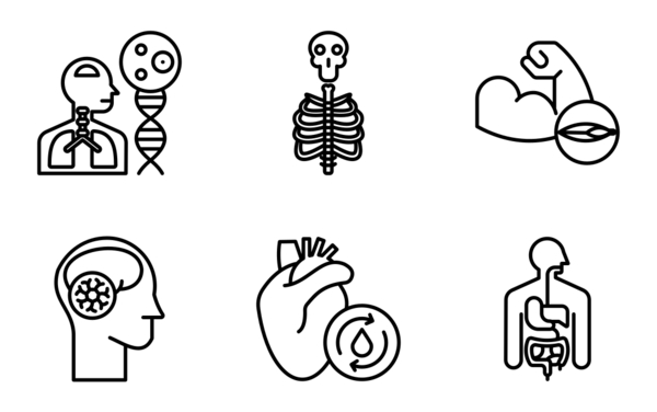 human body human body