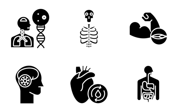 human body