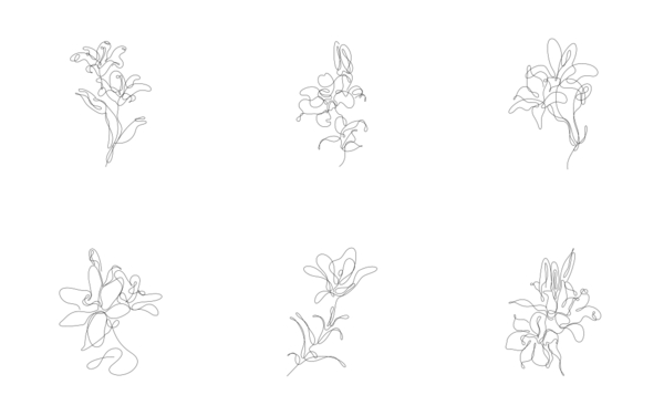Abstract flower lily one line art