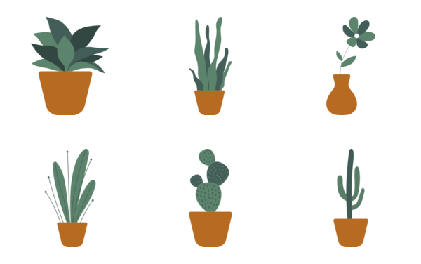 house plants